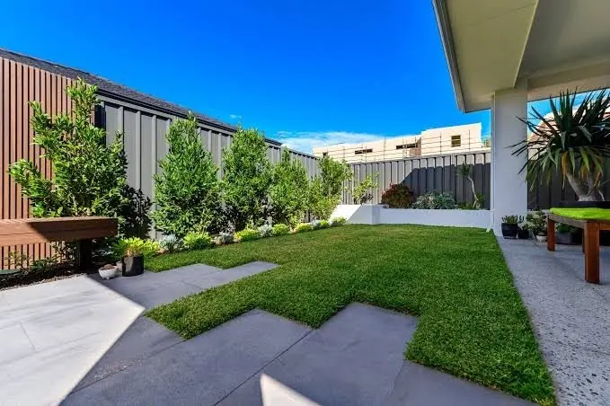 Backyard with new turf, large-format paving and screen planting